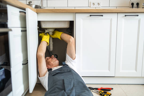 Best Plumbing Inspection Services  in Albion, MI