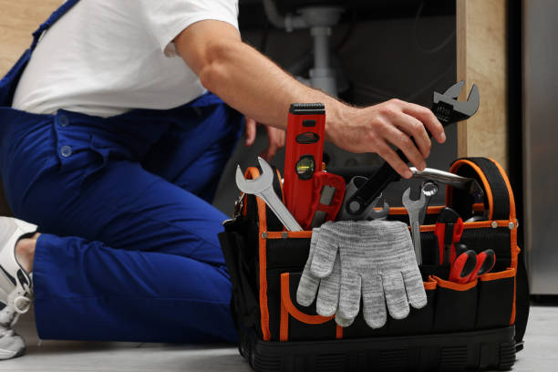 Best Local Plumber Services  in Albion, MI