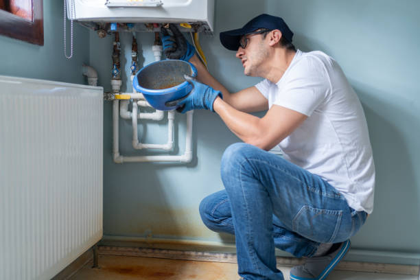 Best Commercial Plumbing Services  in Albion, MI